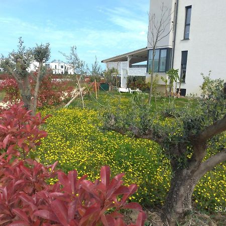 Welcome Beach Apartment Hamallaj Dış mekan fotoğraf